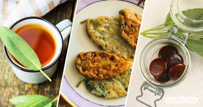 Mit diesen Salbei-Rezepten kannst du jedes Blatt sinnvoll verwerten - zum Knabbern, für den Vorrat, in der Küche und in der Hausapotheke.