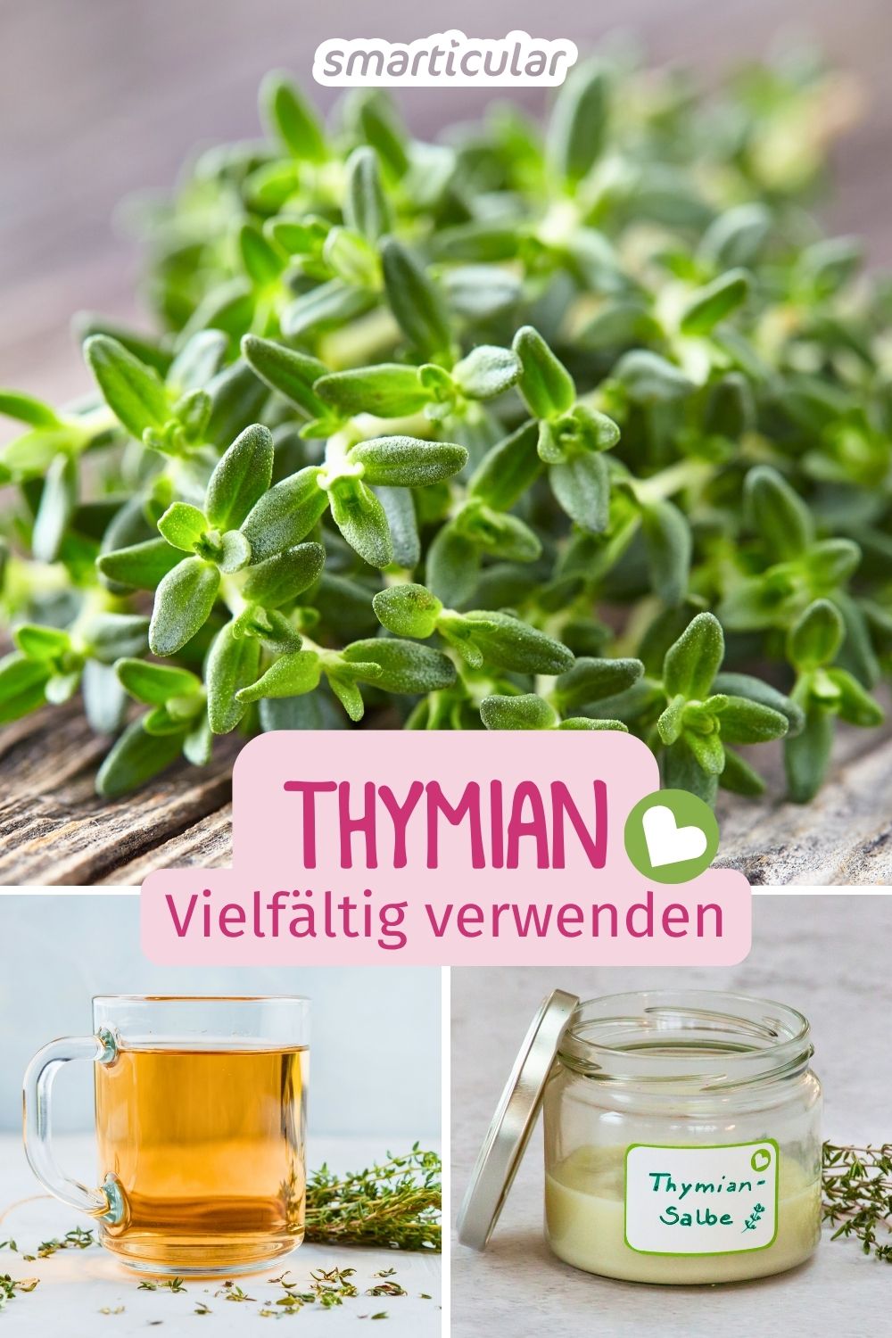Thymian ist viel mehr als nur ein Küchenkraut! Verwende es mit diesen Tipps als Naturheilmittel, für die Körperpflege und für den Haushalt.