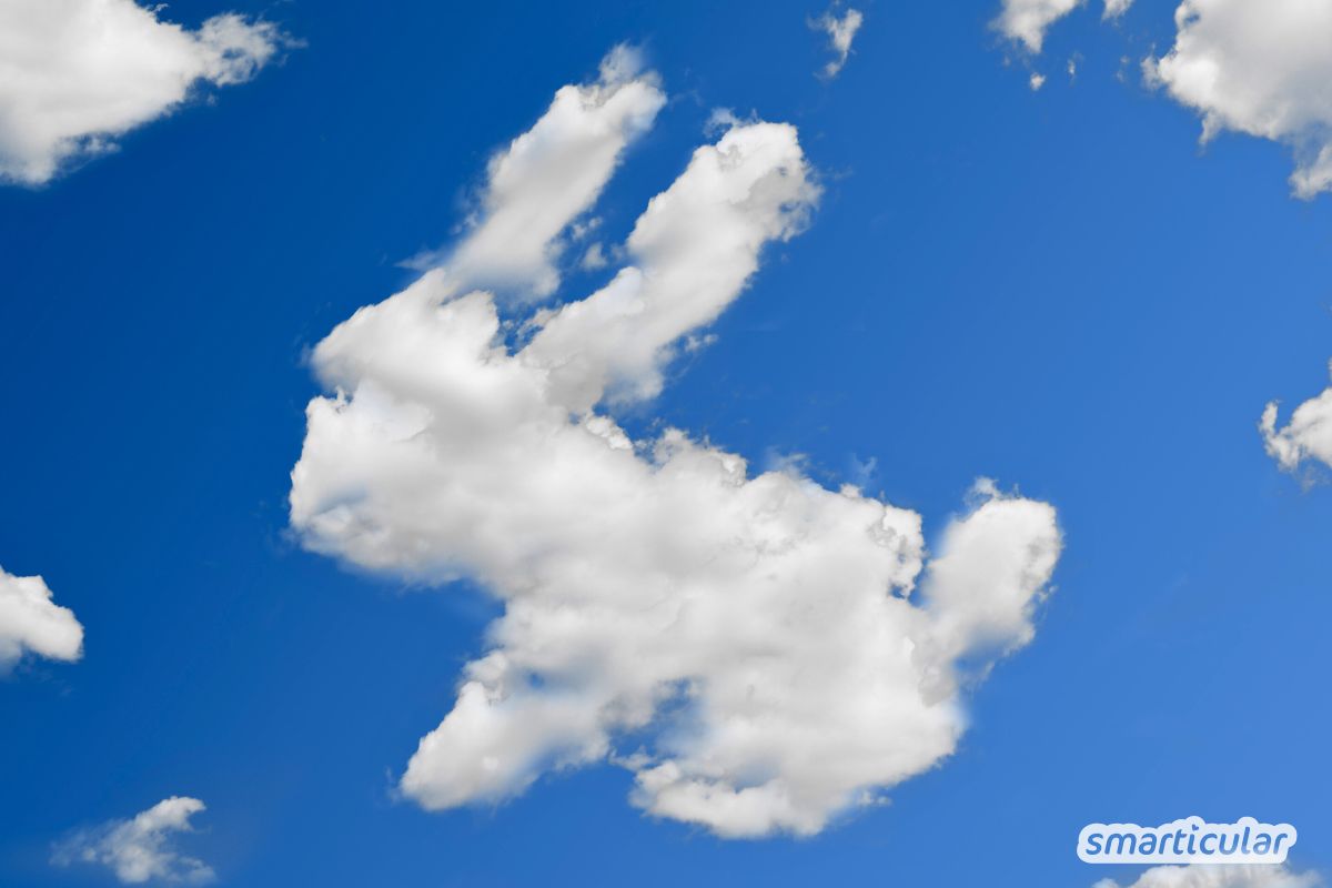 Warum sind vegane Snacks so teuer? Mit diesen Rezepten kannst du herzhaftes und süßes Fingerfood ohne tierische Inhaltsstoffe selber machen.