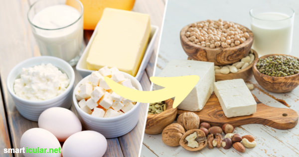 Du möchtest weniger tierische Lebensmittel verwenden, aber nicht auf deine Lieblingsrezepte verzichten? Hier erfährst du, wie einfach es ist, Käse, Eier, Butter & Co. durch pflanzliche Alternativen zu ersetzen.