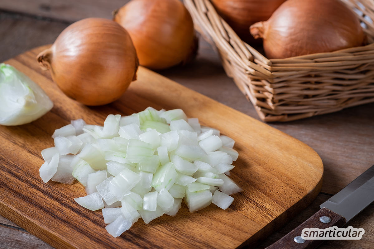 Um Erkältungen vozubeugen ist es hilfreich, das Immunsystem zu stärken - zum Beispiel mit Hagebutten, Ingwer oder Zwiebeln, die du in jedem Supermarkt erhältst oder sogar kostenlos in der Natur findest!