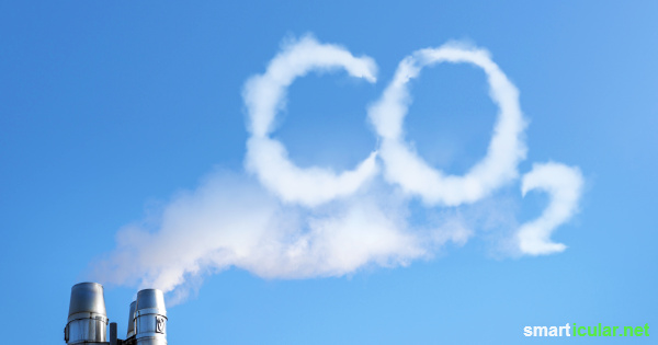 Klimafreundlich leben - mit diesen leicht umzusetzenden Tipps kannst du deine CO2-Bilanz im Alltag verbessern.