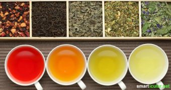 Tee ist nicht gleich Tee! Hier erfährst du alles, was du über Ziehzeit, Wassertemperatur und -qualität wissen musst.