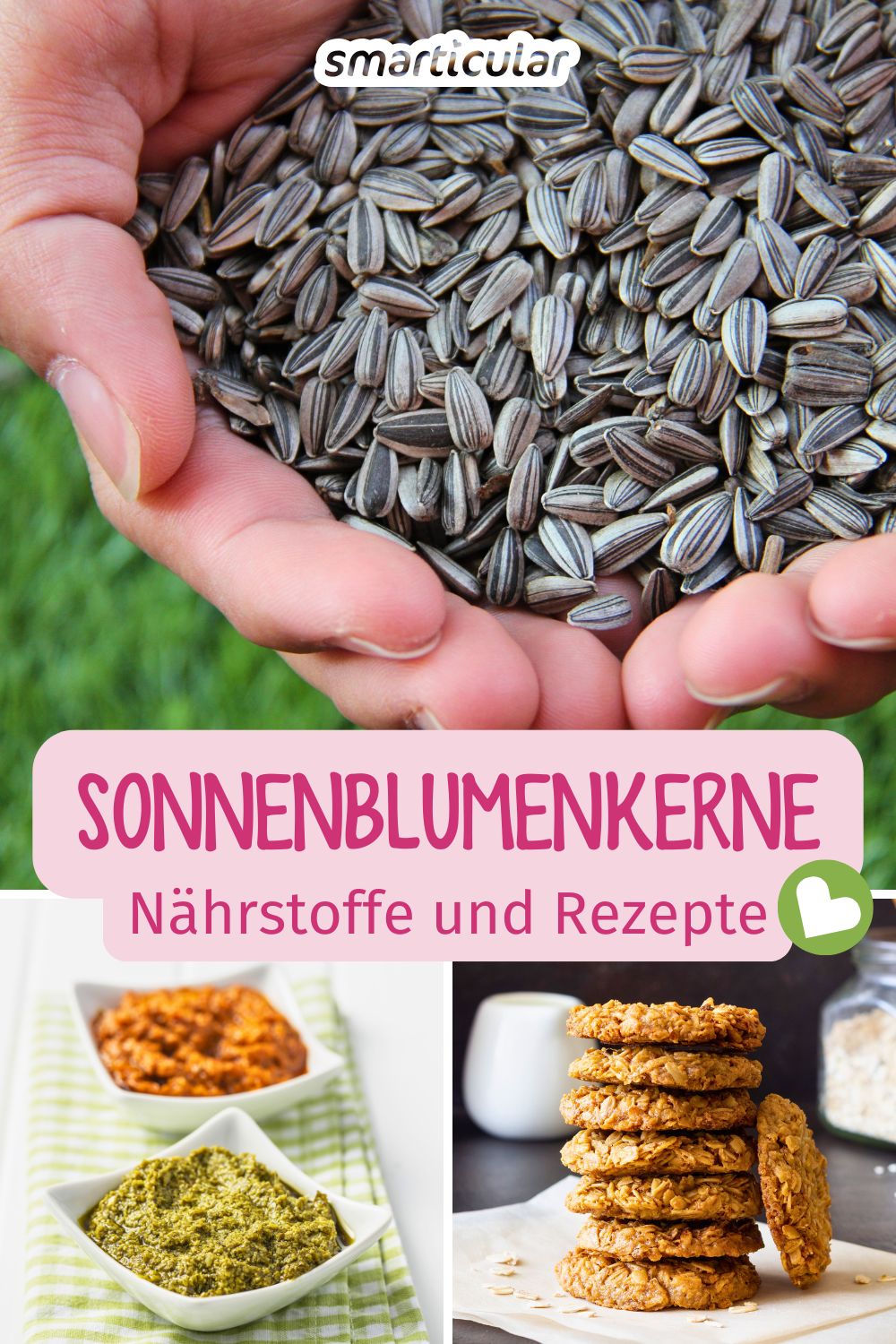 Erfahre hier wie gesund Sonnenblumenkerne wirklich sind und wie vielfältig du sie verwenden kannst - in süßen und herzhaften Rezepten.