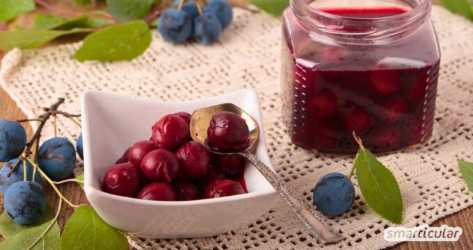 Mit diesem herzhaften Rezept für eingelegte Schlehen kannst du regionale und gesunde “falsche Oliven” selbst herstellen.