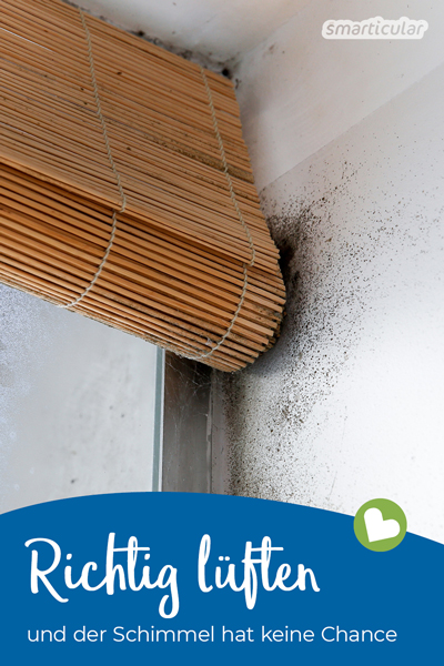 Mit diesen Tipps zum richtigen Lüften kannst du Schimmel an Wänden und Fenstern vorbeugen. Teure Luftentfeuchter sind nicht nötig.
