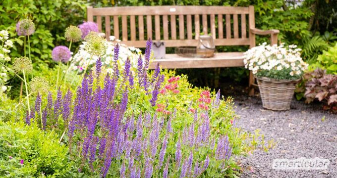 Einen Garten naturnah zu gestalten ist nicht nur bienenfreundlich und ökologisch, sondern auch besonders pflegeleicht und schön.