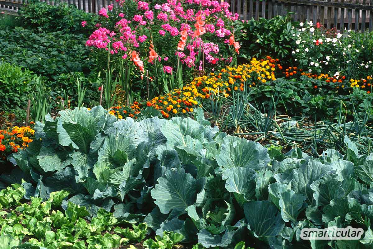Einen Garten naturnah zu gestalten ist nicht nur bienenfreundlich und ökologisch, sondern auch besonders pflegeleicht und schön. 