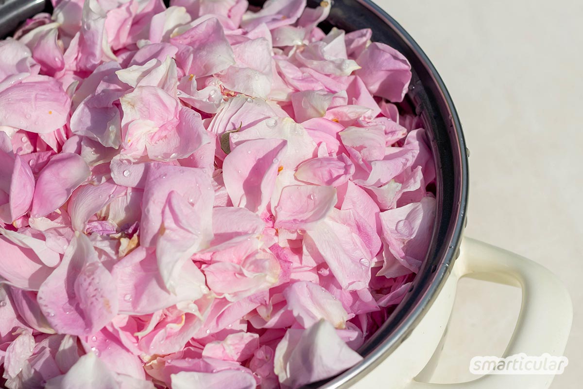 Essbare Blüten von Rosen, Hibiskus oder Holunder sehen im Garten nicht nur hübsch aus, sondern eignen sich für Koch- und Backrezepte oder für Getränke.