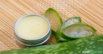 Aloe vera ist für ihre feuchtigkeitsspendenden und hautpflegenden Eigenschaften bekannt. Mit Aloe-vera-Gel und nur wenigen weiteren Zutaten kannst du eine natürliche Lippenpflege selber machen.
