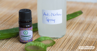 Wenn du auf aggressive Chemie zur Insektenabwehr lieber verzichten möchtest, kannst du ein hautfreundliches Anti-Mücken-Spray schnell aus wenigen Zutaten selbst zubereiten.