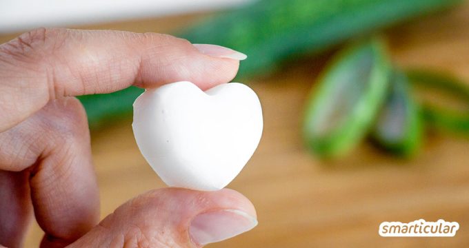 Wenn Insektenstiche und Sonnenbrand der Haut zusetzen, hilft Aloe vera. In Form von Erste-Hilfe-Eiswürfeln kühlt das Gel zusätzlich angenehm.