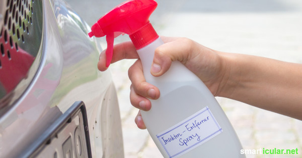 Insektenentferner-Sprays fürs Auto enthalten viele aggressive Inhaltsstoffe - mit einfachen Hausmitteln kannst du dein Auto umweltfreundlich von Rückständen befreien