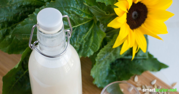 Sonnenblumenmilch als vitalstoffreiche, vegane und regionale Alternative zu Kuhmilch lässt sich leicht selbst herstellen - Rezept mit Schritt für Schritt Anleitung.