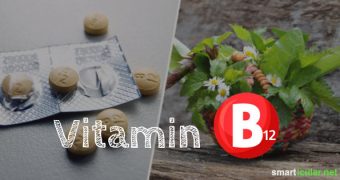 Eine Unterversorgung mit dem “Veganer-Vitamin” B12 kommt hierzulande immer häufiger vor. Wofür es benötigt wird und wie du deinen Tagesbedarf am besten decken kannst, erfährst du hier.
