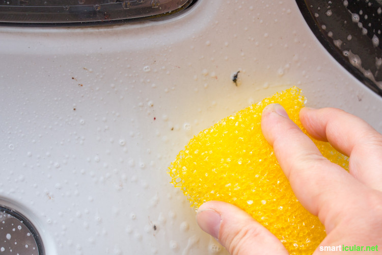 Insektenentferner-Sprays fürs Auto enthalten viele aggressive Inhaltsstoffe - mit einfachen Hausmitteln kannst du dein Auto umweltfreundlich von Rückständen befreien