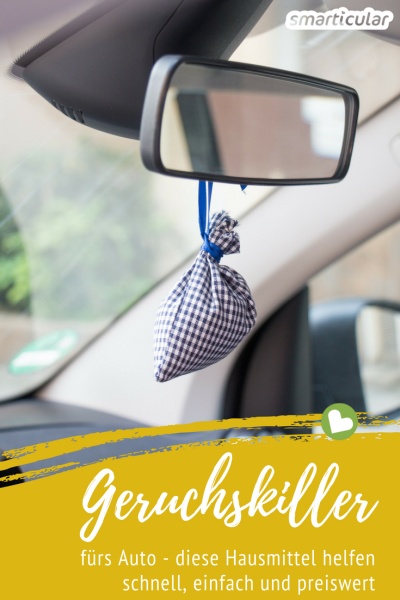 Statt auf teure, ungesunde Spezialmittel zur Geruchsentfernung zurückzugreifen, kannst du dein Auto mit einfachen Hausmitteln vom Mief befreien.