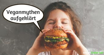 Ernährung ist ein sehr persönliches Thema. Um Streit am Esstisch zu vermeiden, wird hier sachlich mit den gängigsten Vorurteilen zum Veganismus aufgeräumt.