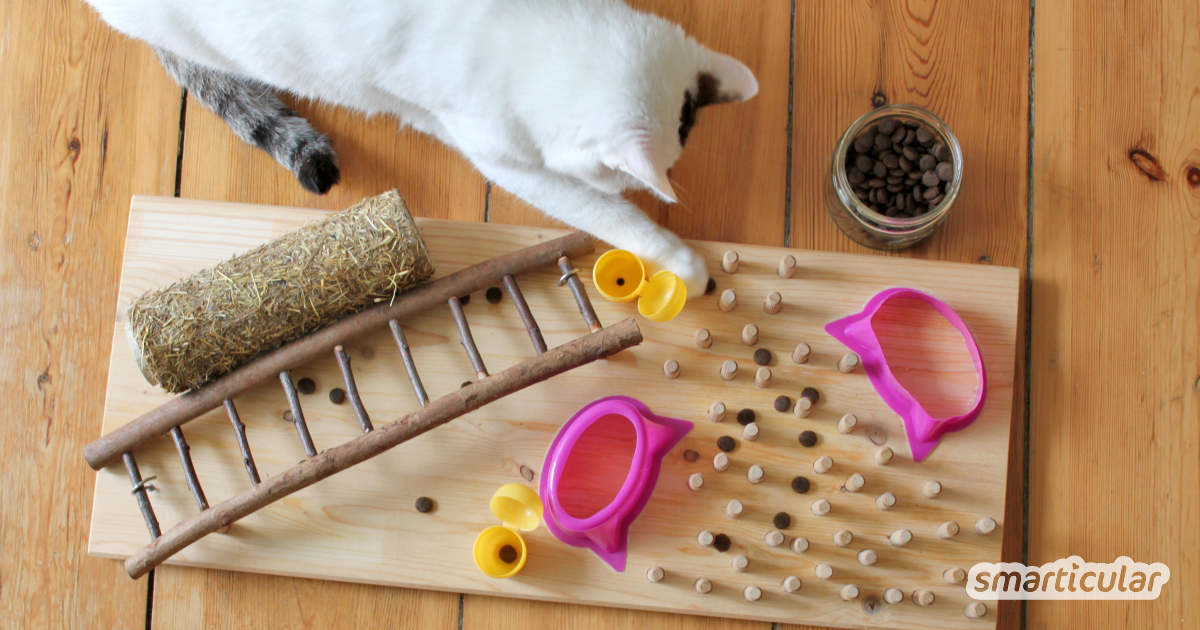 Statt deinen Katzen Leckerlis im Napf zu geben, kannst du sie auch spielerisch anbieten - zum Beispiel mit einem selbst gebastelten Fummelbrett.
