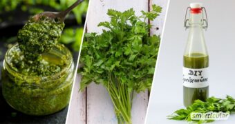 Petersilie kann mehr als nur Quark und Suppen zu aromatisieren! Probiere doch mal eines dieser Rezepte aus, um sie vielseitig zu nutzen und zu konservieren.