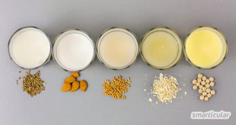 Pflanzenmilch und Pflanzendrinks kannst du einfach preiswert selber machen mit diesen 14 einfachen Rezepten für vegane Milch aus Getreide, Nüssen und Co.