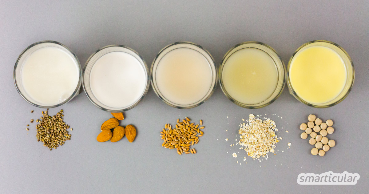 Pflanzenmilch und Pflanzendrinks kannst du einfach preiswert selber machen mit diesen 14 einfachen Rezepten für vegane Milch aus Getreide, Nüssen und Co.