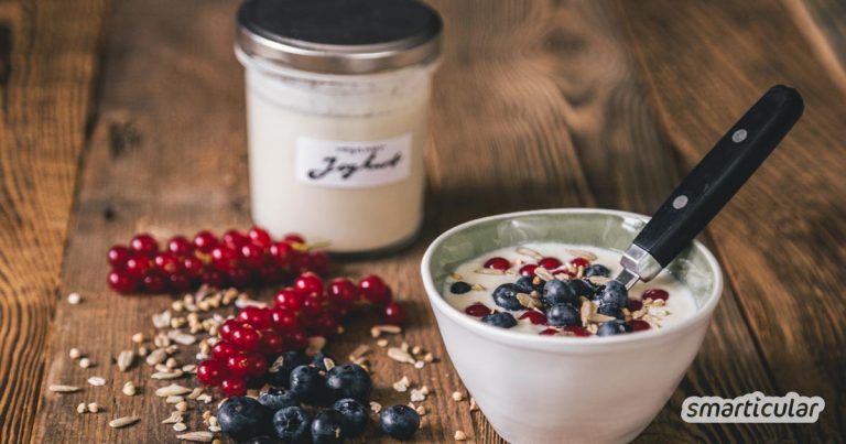Kokos Joghurt Selber Machen