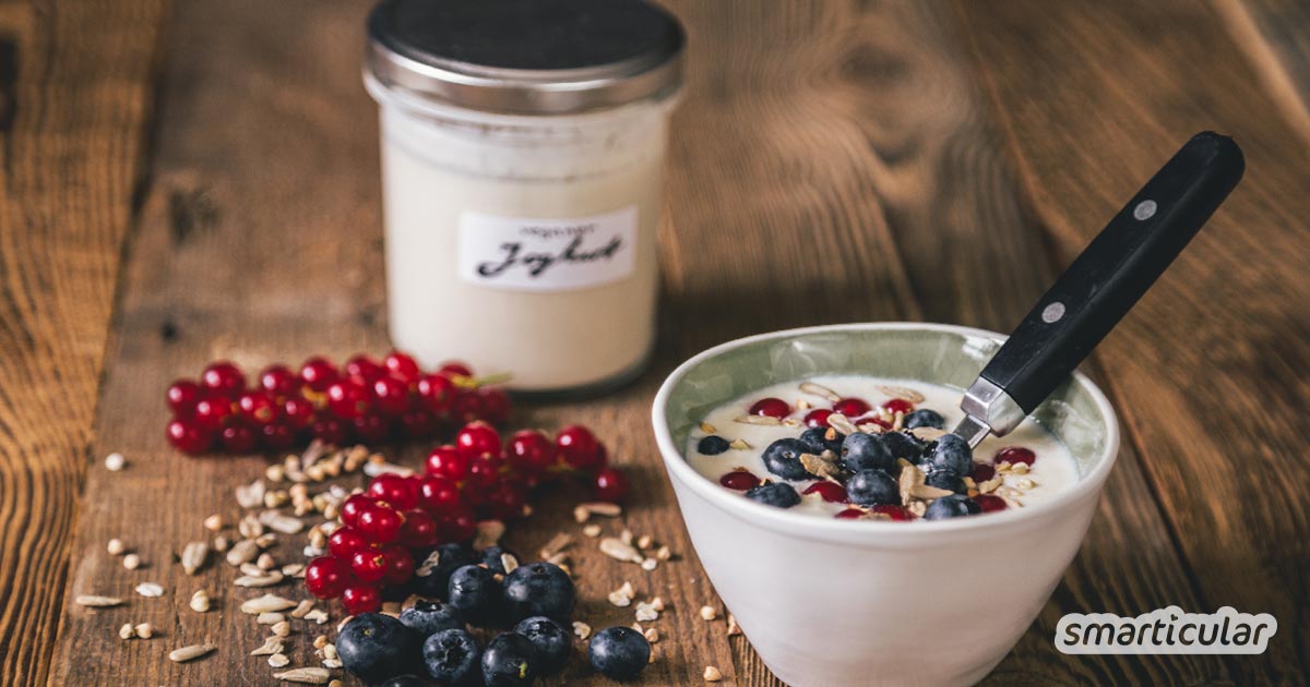 Aus Pflanzenmilch lässt sich genauso wie aus Kuhmilch mit den richtigen Kulturen ganz einfach ein köstlicher Joghurt herstellen - auch ohne extra Joghurtmaschine.