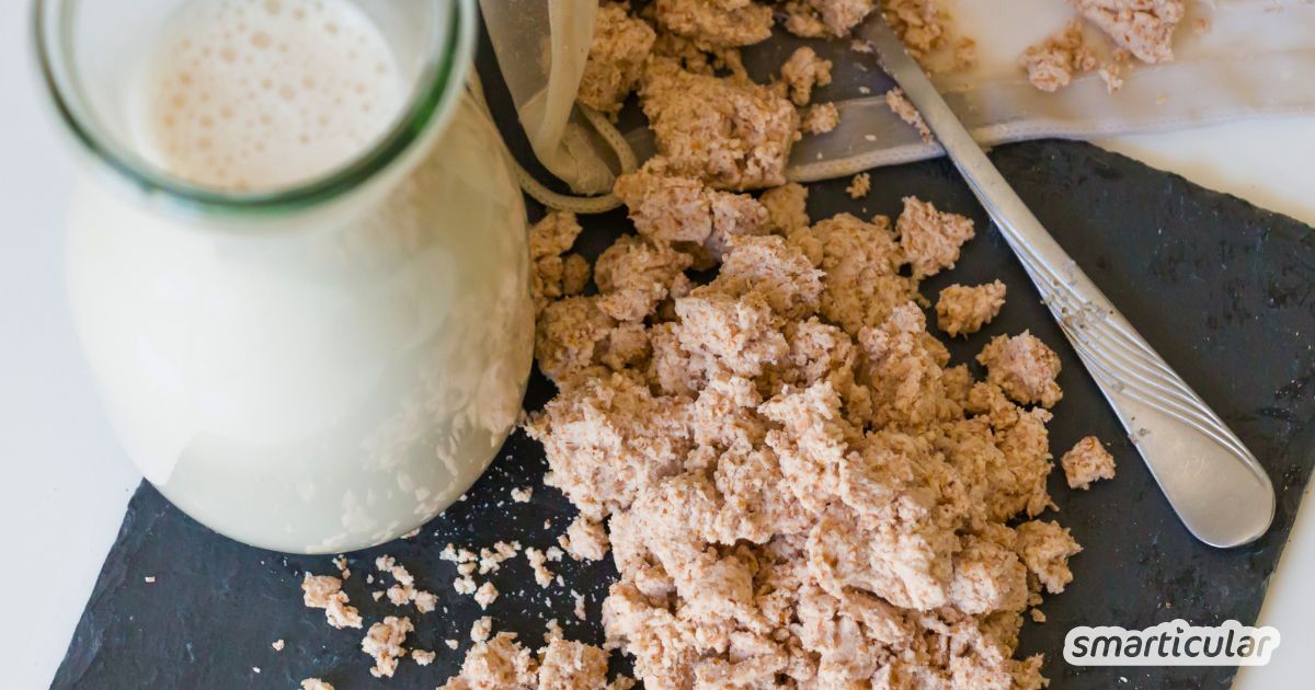 Mit diesen Trester-Rezepten kannst du die Reste verwerten, die bei der Herstellung von Pflanzenmilch übrig bleiben.