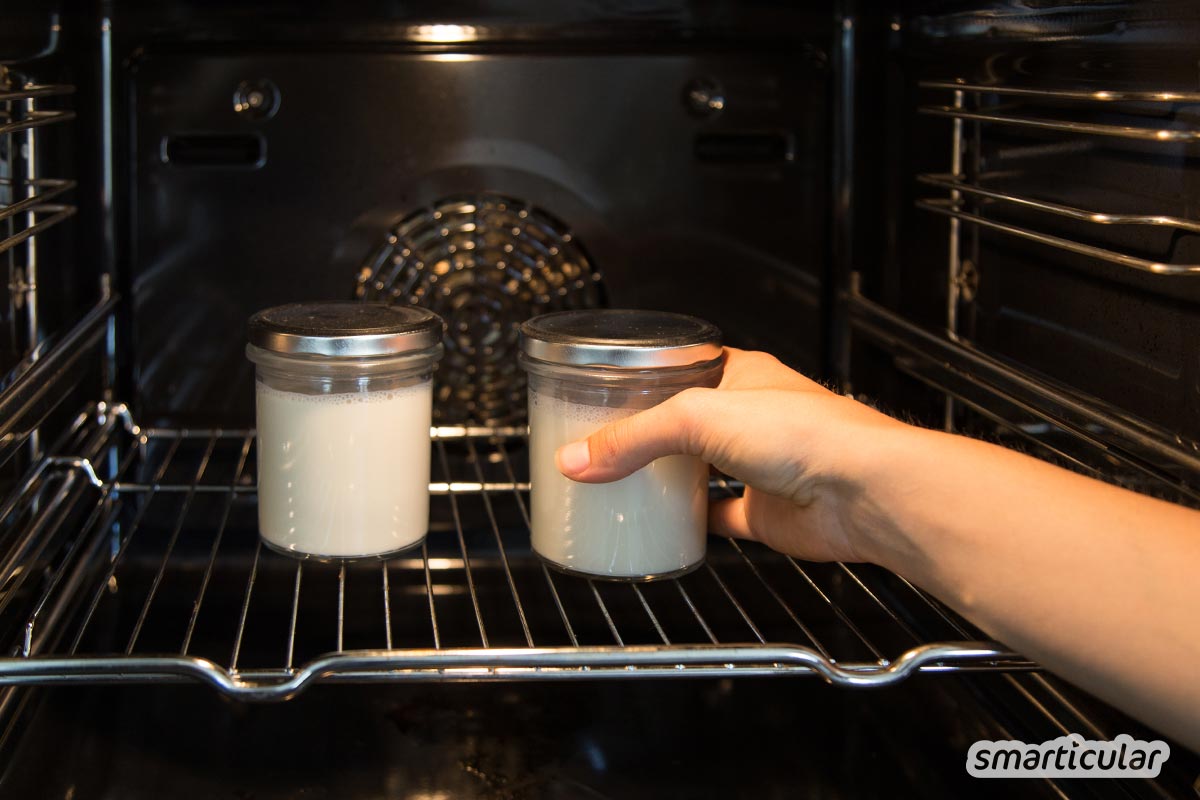 Aus Pflanzenmilch lässt sich genauso wie aus Kuhmilch mit den richtigen Kulturen ganz einfach ein köstlicher Joghurt herstellen - auch ohne extra Joghurtmaschine.