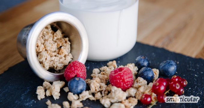 “Joghurt mit der Ecke” ist zwar praktisch, hinterlässt aber auch besonders viel Verpackungsmüll. Mit dieser Anleitung kannst du eine abfallfreie Alternative zum beliebten Snack ganz leicht selber machen.
