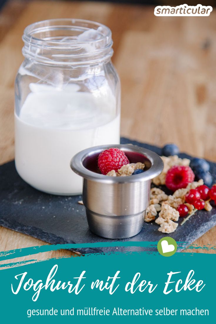 “Joghurt mit der Ecke” ist zwar praktisch, hinterlässt aber auch besonders viel Verpackungsmüll. Mit dieser Anleitung kannst du eine abfallfreie Alternative zum beliebten Snack ganz leicht selber machen.