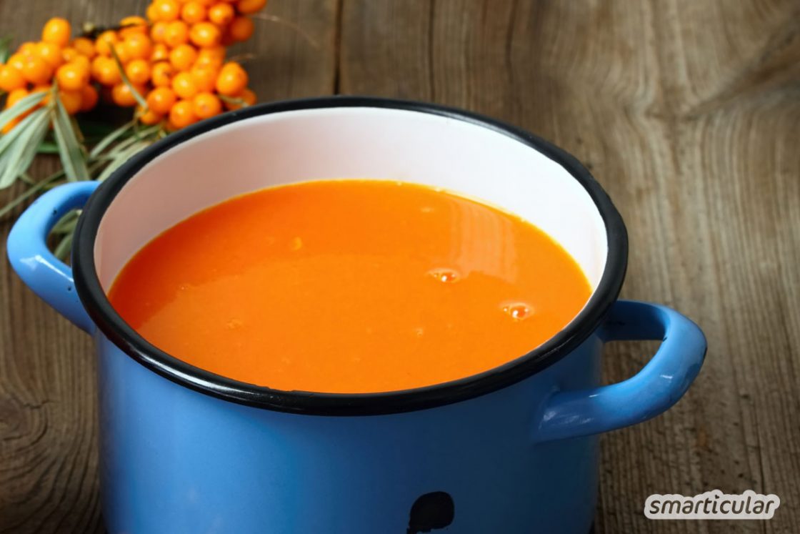 Sanddornbeeren vielseitig verarbeiten - 10 köstliche Rezepte Sanddornbeeren vielseitig verarbeiten - 10 köstliche Rezepte