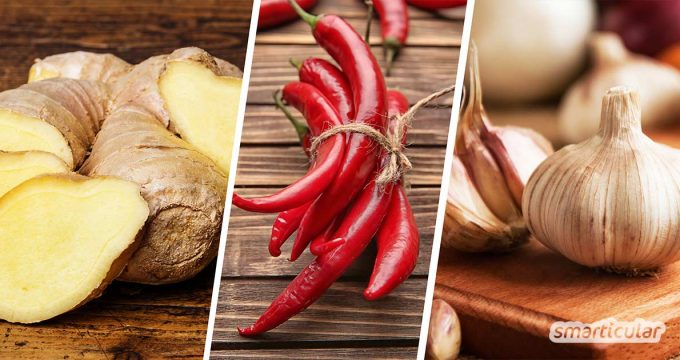 Wer anstelle einer Grippeschutzimpfung lieber auf natürliche Mittel zurückgreift, um sich für die Erkältungssaison zu wappnen, ist mit diesen neun Lebensmitteln bestens beraten.