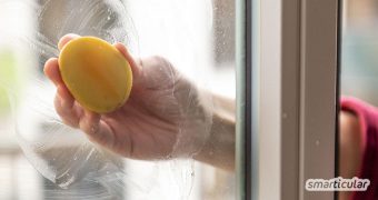 Um die Fenster natürlicher und fast mühelos zu putzen, kannst du einen Reiniger aus Stärke und Essig selbst herstellen. Er sorgt für glänzende Scheiben mit Abperleffekt.
