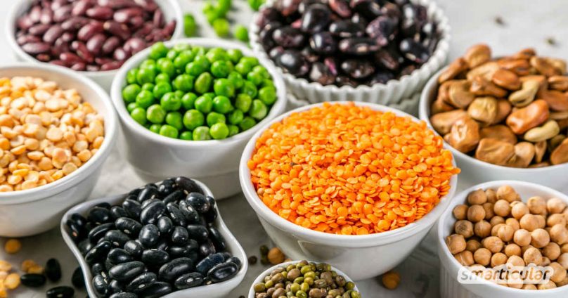 Hülsenfrüchte sind eiweißreich und gesund, in unserer Küche aber kaum verbreitet. Mit diesen Rezepten bringst du die vitalstoffreichen Eiweißbomben mit wenig Aufwand häufiger auf den Tisch.
