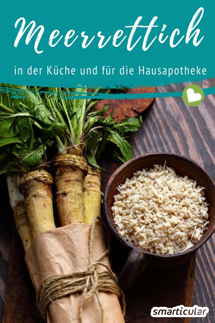 Meerrettich spielt in deiner Küche kaum eine Rolle – schade, denn die scharfe Knolle ist überaus gesund und lässt sich für viele Rezepte und die Hausapotheke verwenden.