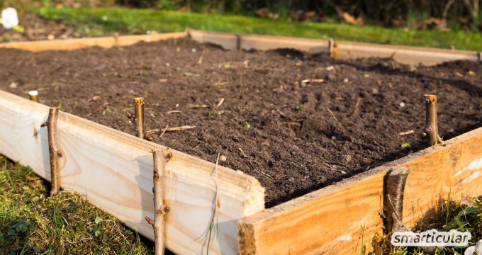 Einen Rasen oder eine Wiese in ein fruchtbares Beet zu verwandeln, muss keine Schwerstarbeit sein. Mit dieser Anleitung sparst du dir das Umgraben und lässt die Natur für dich arbeiten.