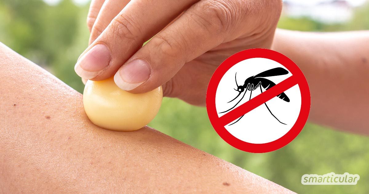 Feste Lotion-Bars mit Anti-Mücken-Wirkung kannst du einfach selber machen. Sie sind Mückenabwehr und natürliche Hautpflege zugleich - ohne ungesunde Zutaten.