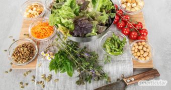 Grüner Salat ist langweilig? Probiere doch mal diese ungewöhnlichen Salatzutaten, die ihn eiweißreich, nahrhaft und sättigend machen und ihm besondere Aromen verleihen!