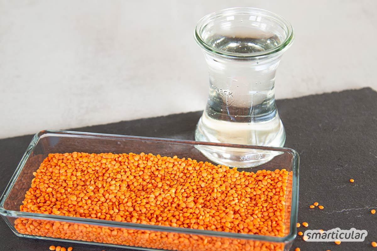 Linsentofu ist eine ideale Soja-Alternative - einfach zuzubereiten und eine köstliche Beilage für Salate und Gemüsegerichte. Mit Rezept und Zubereitungs-Tipps.