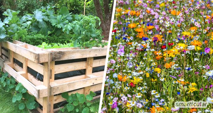 Naturnahes Gärtnern schont die Umwelt und bietet Vögeln und Insekten ein Zuhause. 11 kleine und große Projekte helfen bei der Gestaltung eines Biogartens.