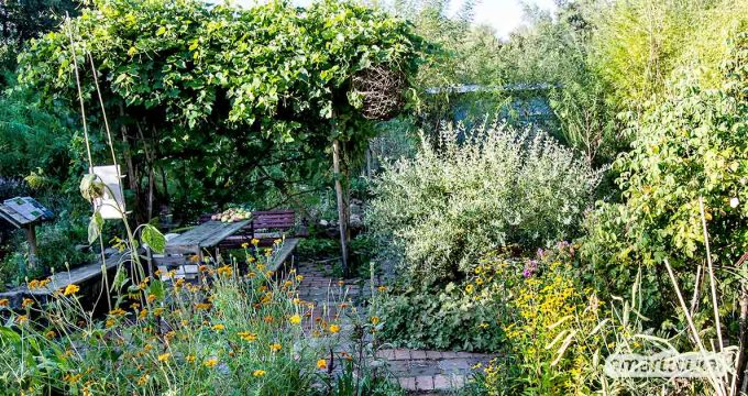 Die Permakultur-Prinzipien helfen dir, ganz praktisch deinen eigenen naturnahen Biogarten anzulegen, zu genießen und reich zu ernten.