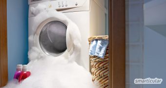 Die Wäsche wird auch mit wenig Waschmittel oder ökologischen Alternativen sauber: Davon profitiert nicht nur die Umwelt, sondern auch der Geldbeutel.