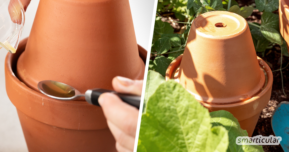 Ollas zur Bewässerung von Garten und Hochbeet kannst du aus einfachen Tontöpfen selber bauen. Ein teures System mit Tropfschlauch ist nicht notwendig.