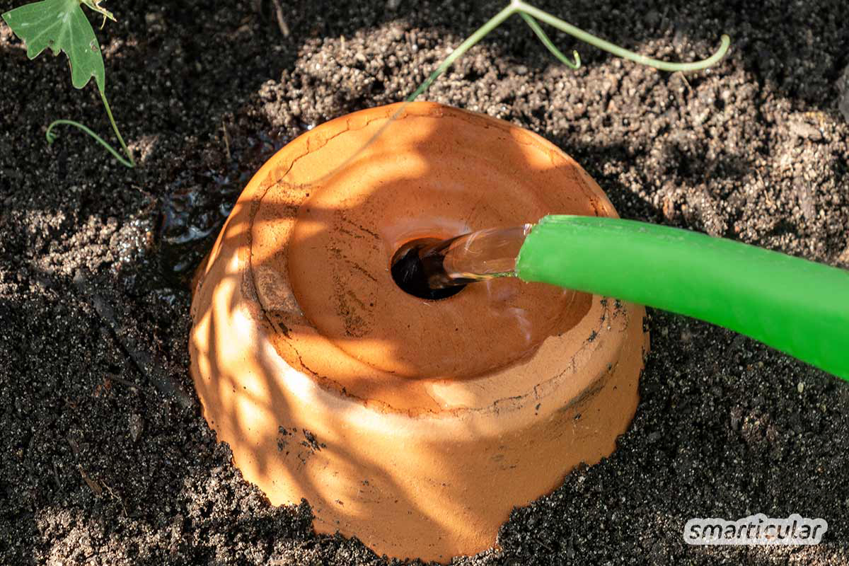 Ollas zur Bewässerung von Garten und Hochbeet kannst du aus einfachen Tontöpfen selber bauen. Ein teures System mit Tropfschlauch ist nicht notwendig.