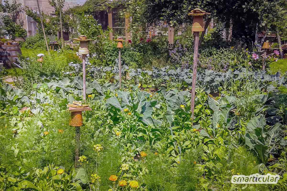 Die Permakultur-Prinzipien helfen dir, ganz praktisch deinen eigenen naturnahen Biogarten anzulegen, zu genießen und reich zu ernten.