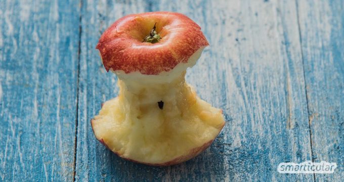 Apfelkerne und das Kerngehäuse werden oft nicht mitgegessen. Dabei ist nicht nur ein Apfel gesund, sondern vor allem das Apfelkerngehäuse!