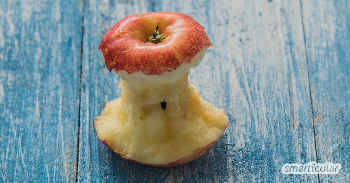 Apfelkerne und das Kerngehäuse werden oft nicht mitgegessen. Dabei ist nicht nur ein Apfel gesund, sondern vor allem das Apfelkerngehäuse!