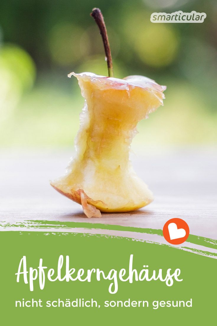Apfelkerne und das Kerngehäuse werden oft nicht mitgegessen. Dabei ist nicht nur ein Apfel gesund, sondern vor allem das Apfelkerngehäuse!